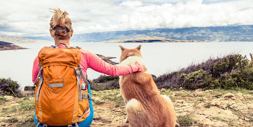 Camping With Your Dog: 5 Expert Tips
