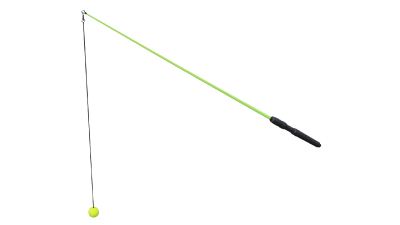 Dog Gone Fun Exerciser Product