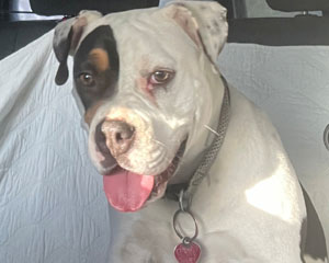 Ricky Newsom, Inventor